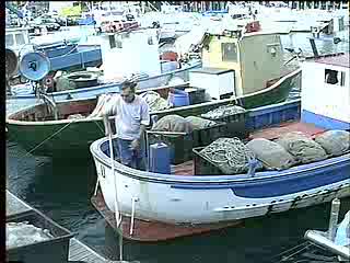 Pescatori nelle canne