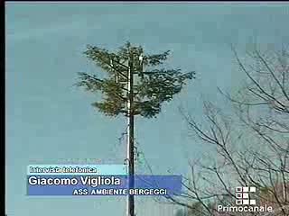 Savona, polemiche albero antenna