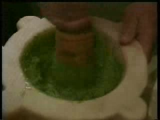 Pesto, incontro su basilico