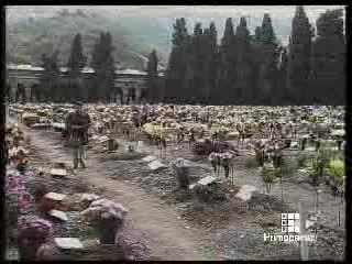 Inchiesta cimiteri, polemiche sugli abusivi dei fiori