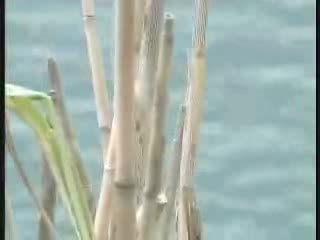 Cinque terre, arrivano le boe intelligenti