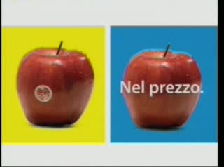 Farmaci equivalenti per risparmiare sulla spesa pubblica