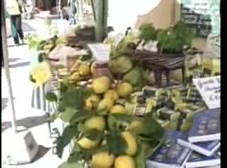 Monterosso, ecco la sagra dei limoni