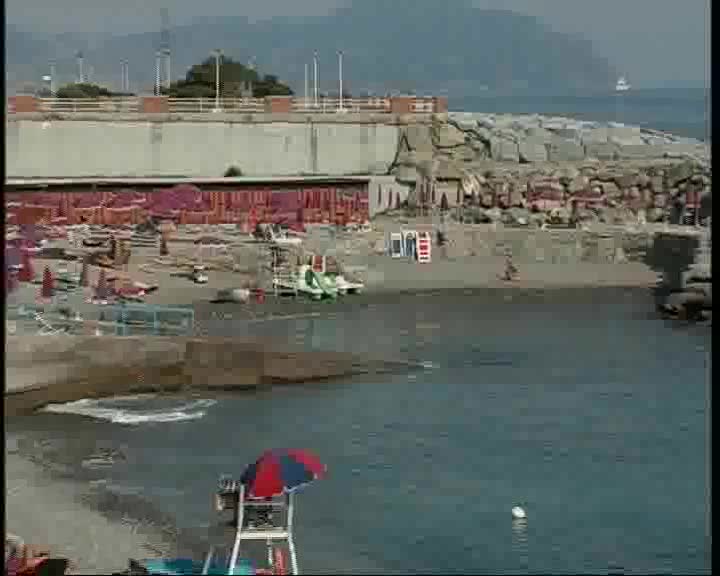 Spiagge semivuote a causa dell'alga