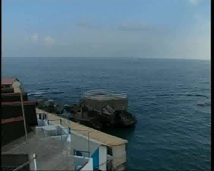 Alga, mare di nuovo balneabile