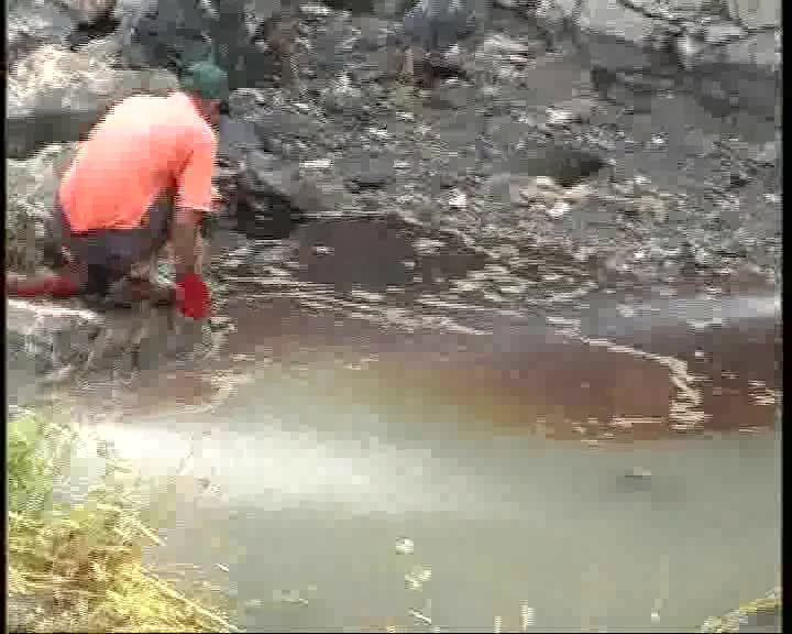 Pericolo di inquinamento per il torrente Ricco'