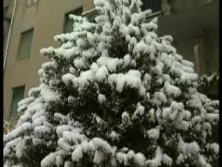 DOPO LA NEVE IN LIGURIA ARRIVA VENTO FORTE