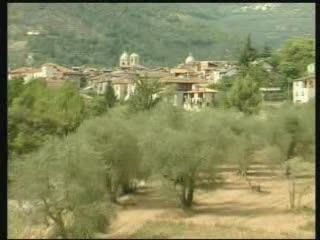 PIEVE DI TECO, NO ALLA CENTRALE A BIOMASSE