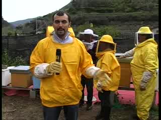 STRAGE DI API ANCHE IN LIGURIA