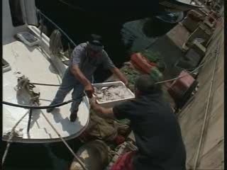 CARO GASOLIO, CONTINUA PROTESTA PESCATORI