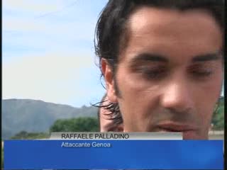 PALLADINO FELICE: 