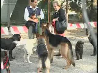 LA LIGURIA CONTRO TRENITALIA DIFENDE I CANI OBESI