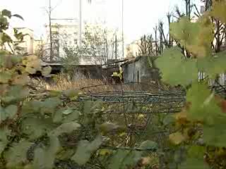 LA SPEZIA, SPORCIZIA E DEGRADO IN CENTRO