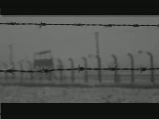 SPECIALE - LA REGIONE LIGURIA A AUSCHWITZ