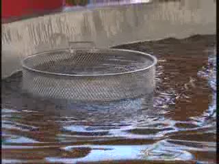 DOMENICA A CAMOGLI TORNA LA SAGRA DEL PESCE