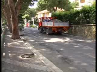 VITA DI QUARTIERE, I PINI DI VIA PADRE SEMERIA A SANREMO