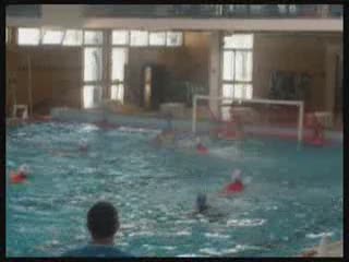 PALLANUOTO FEMMINILE, VOLA BOGLIASCO 