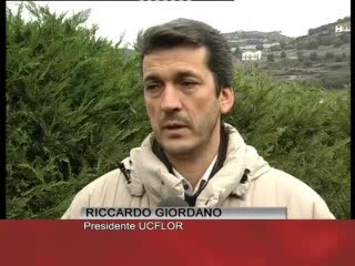 FREDDO, A SANREMO FLORICOLTORI IN GINOCCHIO