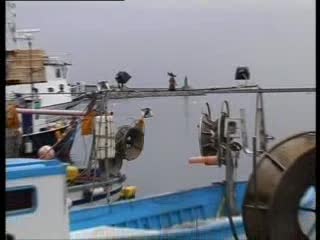 IMPERIA: MALTEMPO, PESCATORI IN GINOCCHIO