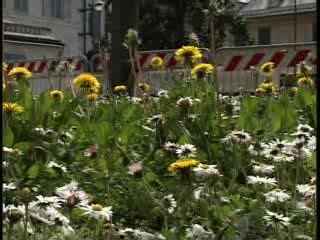 GENOVA, PRESENTATO IL PIANO DEL VERDE