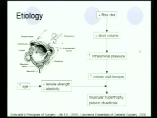 DICA 33 - DIVERTICOLI, PERCHE' SI FORMANO?