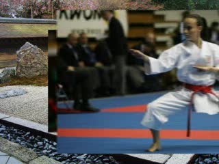 KARATE, LA NUOVA STELLA VIVIANA BOTTARO