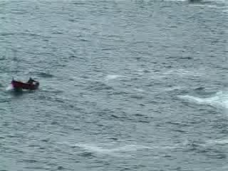 CINQUE TERRE, ALLARME PER CHIAZZE IN MARE