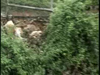 ALLUVIONE A GENOVA NERVI, C'E' UN INDAGATO