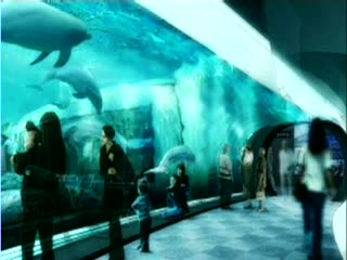 ACQUARIO, NUOVA VASCA DEI DELFINI DAL 2012