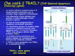 AIRC - Giornata per la Ricerca sul Cancro (parte 4)