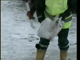 METEO, GHIACCIO E GELO POI NEVISCHIO SULLE ALTURE