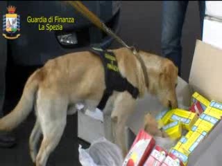 SEQUESTRO RECORD DI TABACCO NEL PORTO DI SPEZIA