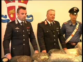 SANREMO, SEQUESTRATI 35 KG DI MARIJUANA