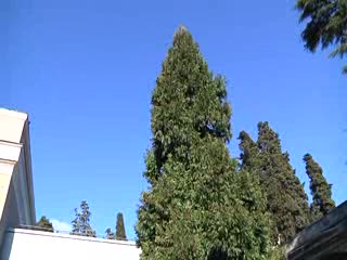 NEL CIMITERO DI STAGLIENO UN TEMPIO LAICO