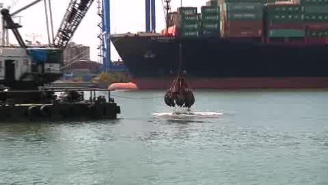 PORTO DI GENOVA, MERLO: