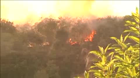 INCENDIO ALTURE SESTRI PONENTE, LE FIAMME SULLA STRADA