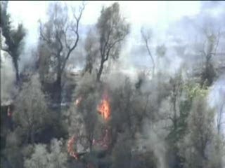 ROCCHETTA NERVINA: ATTENTATO FORESTALE , INDAGINI