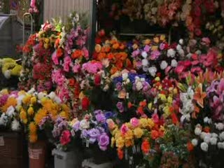 IL VIAGGIO NEL CIMITERO SAVONESE DI ZINOLA