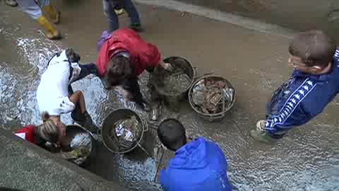 ALLUVIONE, DON PORCILE: 