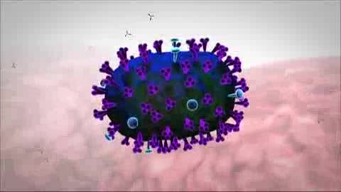 IL PICCO DELL'INFLUENZA ARRIVERA' A GENNAIO