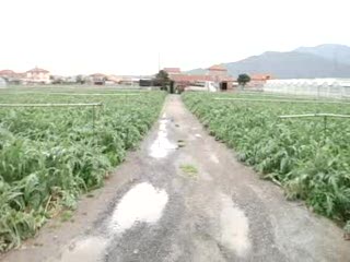 AGRICOLTURA 