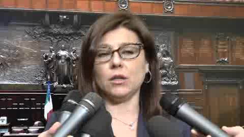 COMMISSIONI, DE MICHELI (PD): 