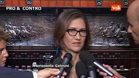 BINDI, GELMINI E IL FUTURO POLITICO DI BERLUSCONI