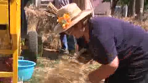 ANTICHI MESTIERI E TRADIZIONI ALLA FESTA DELLA TREBBIATURA DI TOLCETO