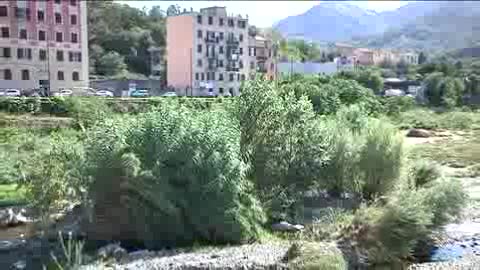 GENOVA,NEL TORRENTE POLCEVERA ALBERI DI 10 METRI