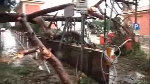 PAURA ALLA STAZIONE DI NERVI, CROLLA UN GROSSO ALBERO