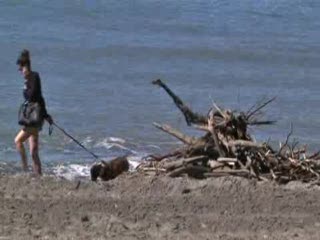 MARINELLA, LEGNA IN SPIAGGIA ALLA VIGILIA DI STAGIONE BALNEARE