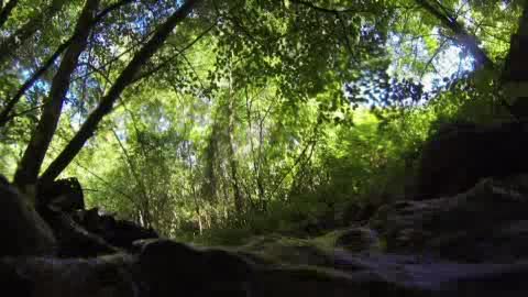 VIAGGIO IN LIGURIA, IL RINASCIMENTO DEL BORMIDA