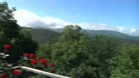 VIAGGIO IN LIGURIA, LE ERBE DI GIUSVALLA