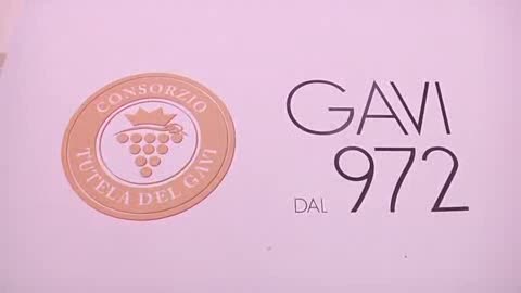 IL TERRITORIO DI GAVI FESTEGGIA I 40 ANNI DEL DOC 